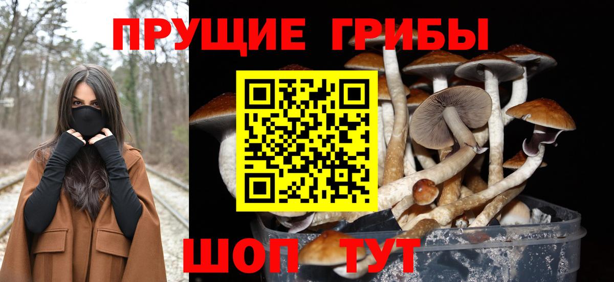 Новоуральск  Галлюциногенные грибы мухоморы  Вход с VPN 